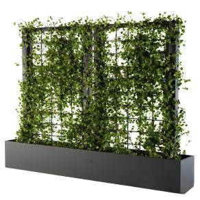 现代绿植墙-2